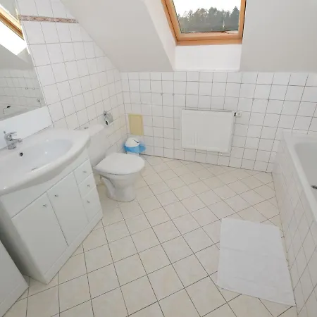 Spacious With Swimming Pool Nemojov